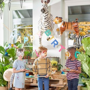 Birthday Party Themes