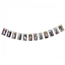 12 Month Milestone Photo Bunting 12 Month Milestone Photo Bunting