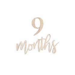 Wooden Pregnancy and Baby Milestone Signs Wooden Pregnancy and Baby Milestone Signs