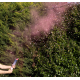 Pink Gender Reveal Smoke Cannon With Confetti Pink Gender Reveal Smoke Cannon With Confetti