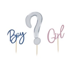 Gender Reveal Cake Topper Set  Gender Reveal Cake Topper Set