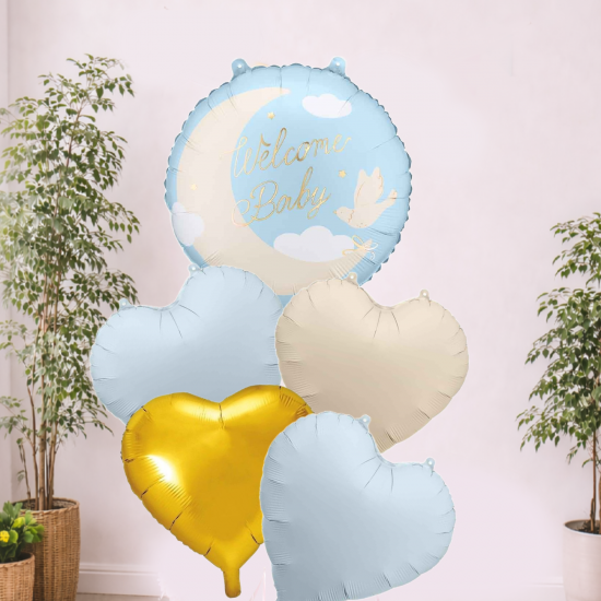 Welcome Baby Boy Balloon Set