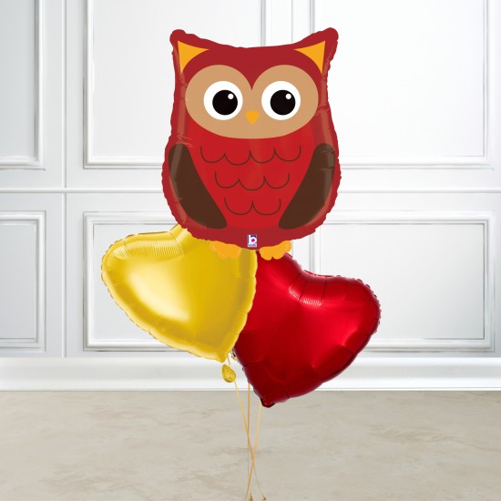 Woodland Owl Foil Balloon Bundle