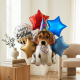 Puppy Dog Birthday Balloon Bouquet