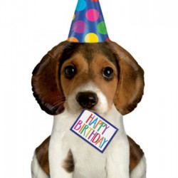 Happy Birthday Puppy Shape Helium Balloon 41 Inch