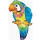 Tropical Parrot Foil Balloon 29"