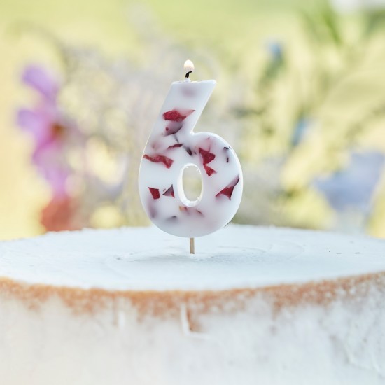 Pressed Petal Number 6 Birthday Cake Candle