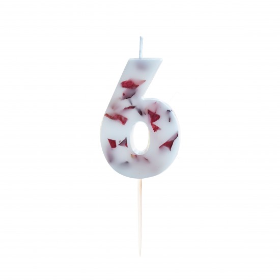 Pressed Petal Number 6 Birthday Cake Candle