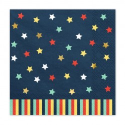 12 Airplane Birthday Party Napkins