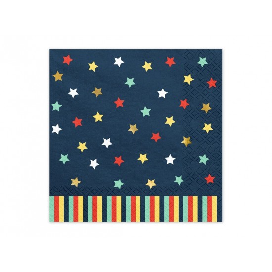 12 Airplane Birthday Party Napkins