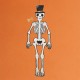 Glow In The Dark Hanging Skeleton