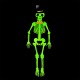 Glow In The Dark Hanging Skeleton