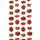 Pumpkin Hanging Decoration 5m