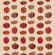 Pumpkin Hanging Decoration 5m