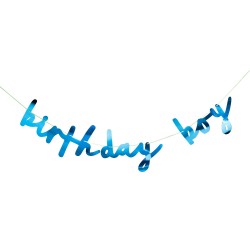 Birthday Boy Banner  Birthday Boy Banner