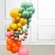 Custom Colour Balloon Arch
