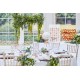 White Wedding Balloons