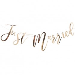 Gold Just Married Bunting Gold Just Married Bunting