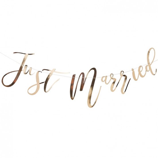 Gold Just Married Bunting